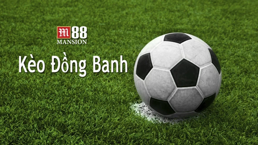 Kèo đồng banh là gì? Cách đọc kèo hiệu quả cho người mới